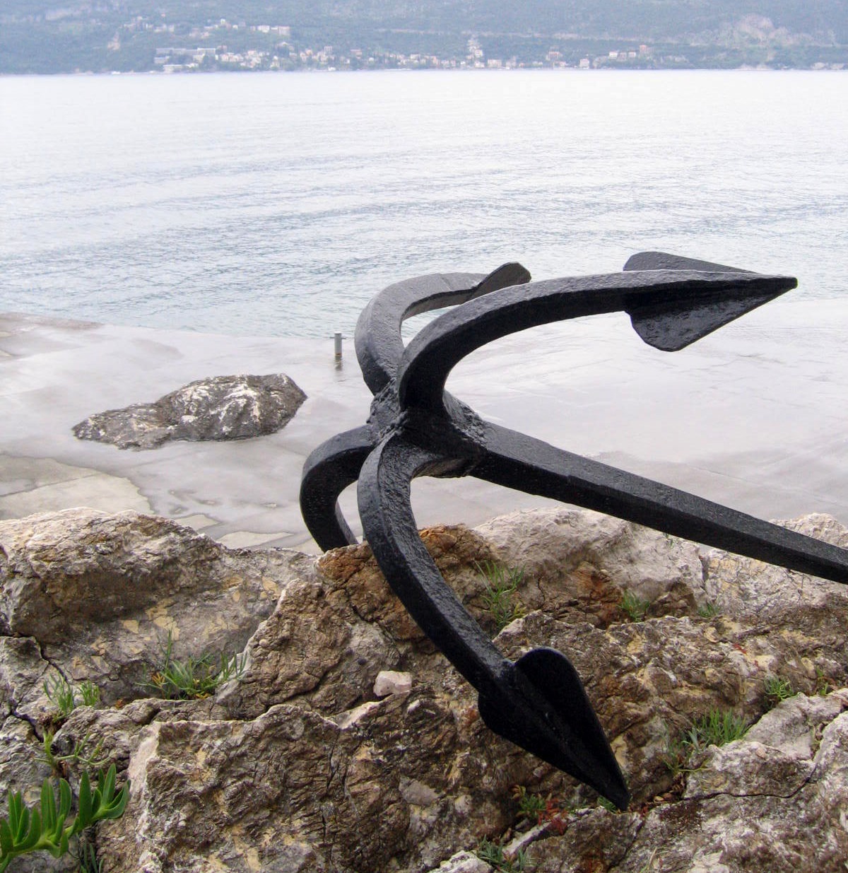 Uma âncora de ferro epoiada sobre vegetação marinha numa praia.