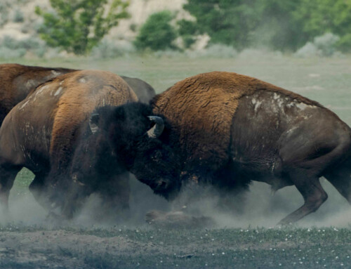 Como lidar com gente difícil