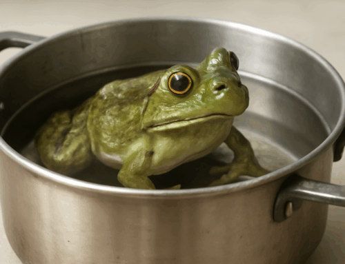 O sapo nunca morre fervido