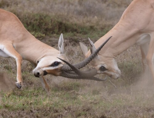Como superar um impasse