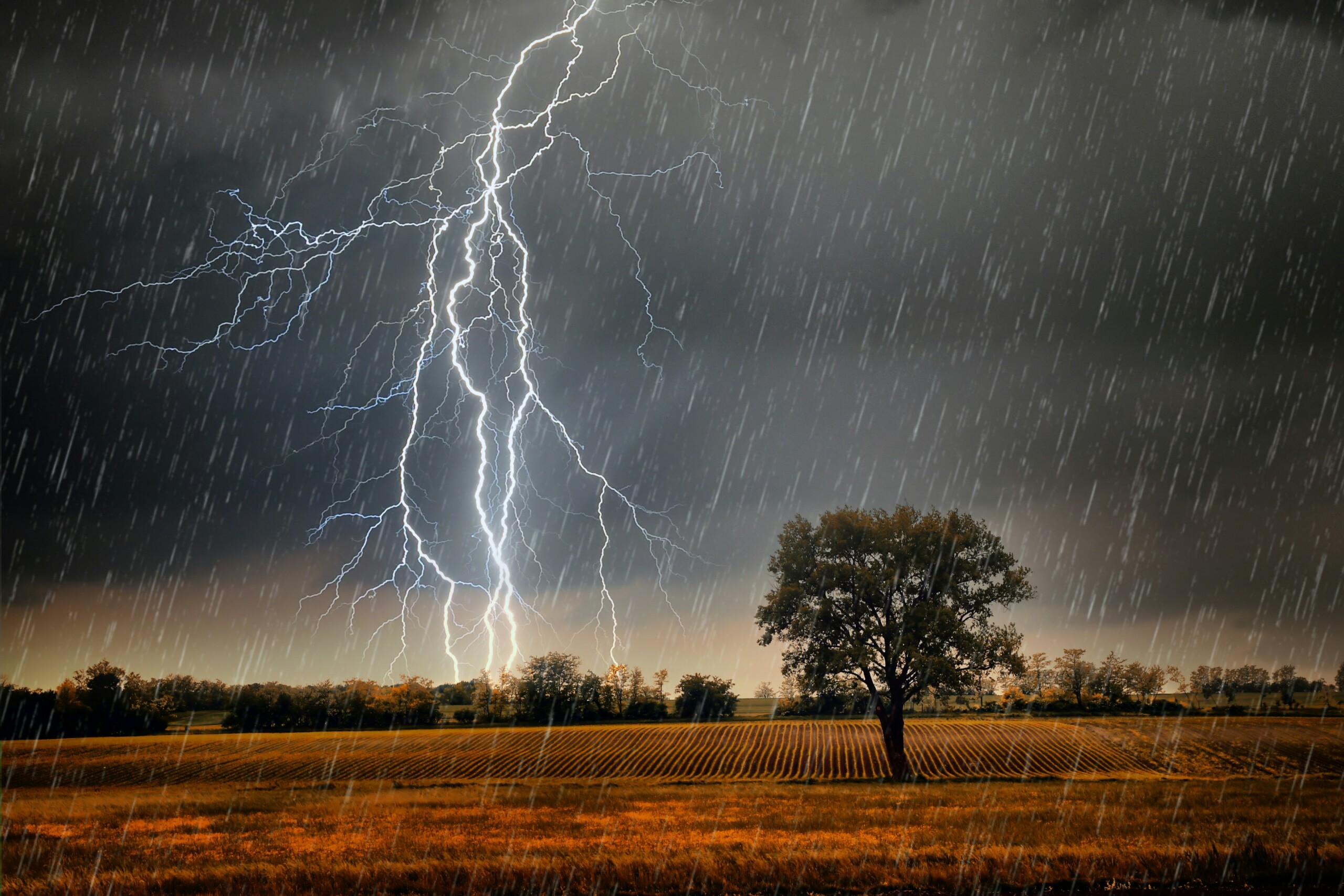Paisagem rural, com um campo aberto e uma árvore solitária em primeiro plano e várias outras ao fundo. Uma forte chuva vai no local, com nuvens carregadas ao fundo e uma série de raios cortando o céu.
